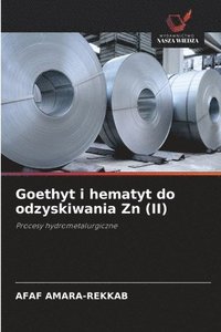 bokomslag Goethyt i hematyt do odzyskiwania Zn (II)