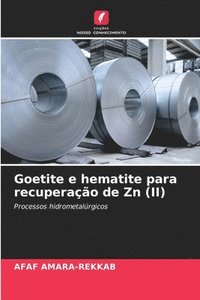 bokomslag Goetite e hematite para recuperação de Zn (II)