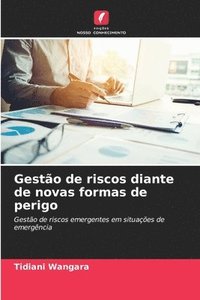 bokomslag Gestão de riscos diante de novas formas de perigo