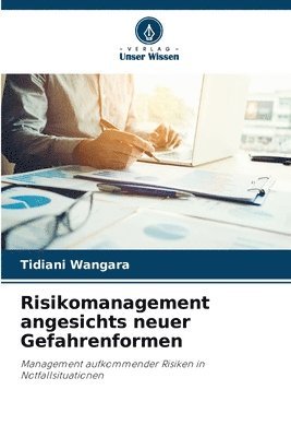 Tidiani Wangara - Risikomanagement angesichts neuer Gefahrenformen, Häftad