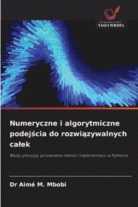 bokomslag Numeryczne i algorytmiczne podej?cia do rozwi?zywalnych calek