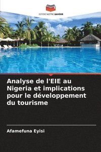 bokomslag Analyse de l'EIE au Nigeria et implications pour le développement du tourisme