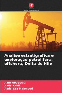 bokomslag Análise estratigráfica e exploração petrolífera, offshore, Delta do Nilo