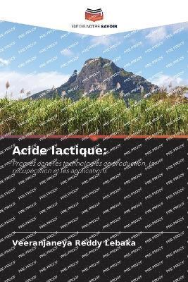bokomslag Acide lactique