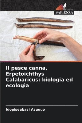 bokomslag pesce canna, Erpetoichthys Calabaricus