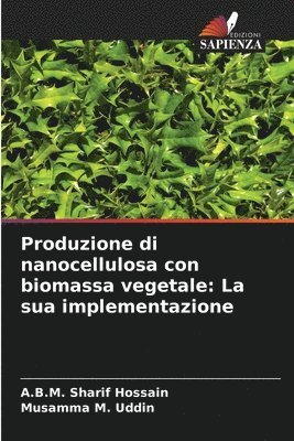 bokomslag Produzione di nanocellulosa con biomassa vegetale