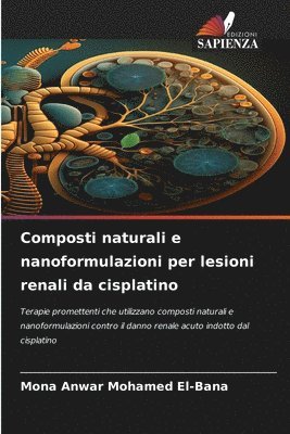 Mona Anwar Mohamed El-Bana - Composti naturali e nanoformulazioni per lesioni renali da cisplatino, Häftad