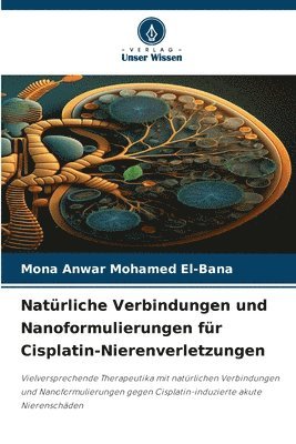 Mona Anwar Mohamed El-Bana - Natürliche Verbindungen und Nanoformulierungen für Cisplatin-Nierenverletzungen, Häftad