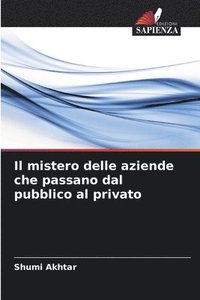 bokomslag mistero delle aziende che passano dal pubblico al privato