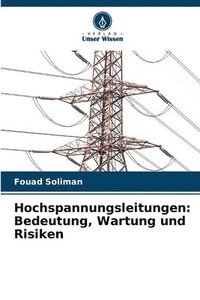 bokomslag Hochspannungsleitungen: Bedeutung, Wartung und Risiken