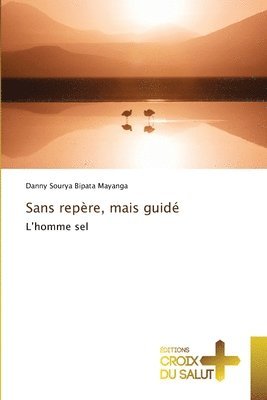 Danny Sourya Bipata Mayanga - Sans repère, mais guidé, Häftad