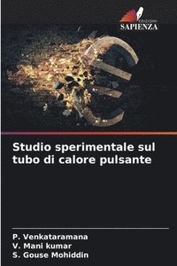 bokomslag Studio sperimentale sul tubo di calore pulsante
