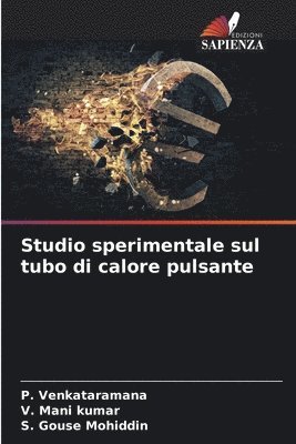 bokomslag Studio sperimentale sul tubo di calore pulsante