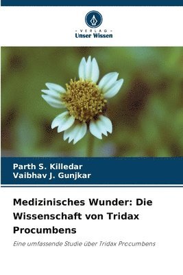 Parth S Killedar, Vaibhav J Gunjkar, Parth S. Killedar, Vaibhav J. Gunjkar - Medizinisches Wunder, Häftad