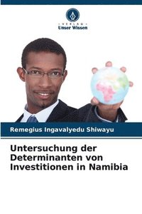 bokomslag Untersuchung der Determinanten von Investitionen in Namibia