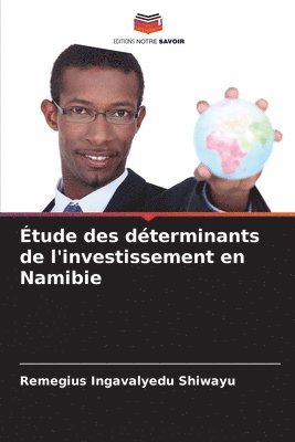 bokomslag Étude des déterminants de l'investissement en Namibie