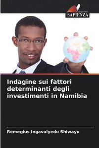 bokomslag Indagine sui fattori determinanti degli investimenti in Namibia