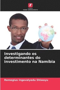 bokomslag Investigando os determinantes do investimento na Namíbia