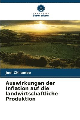Joel Chilambo - Auswirkungen der Inflation auf die landwirtschaftliche Produktion, Häftad