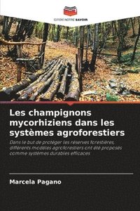 bokomslag Les champignons mycorhiziens dans les systèmes agroforestiers