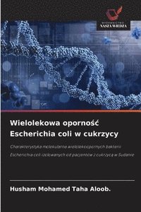 bokomslag Wielolekowa oporno¿¿ Escherichia coli w cukrzycy