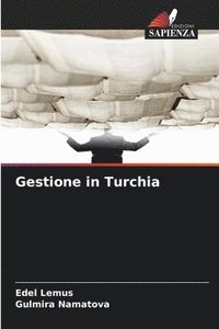 bokomslag Gestione in Turchia