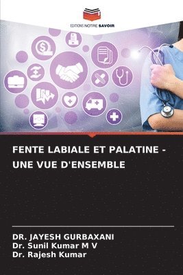 Jayesh Gurbaxani, Sunil Kumar M V, Rajesh Kumar - Fente Labiale Et Palatine - Une Vue d'Ensemble, Häftad