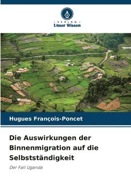 bokomslag Auswirkungen der Binnenmigration auf die Selbstständigkeit