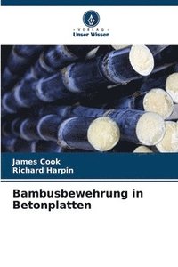 bokomslag Bambusbewehrung in Betonplatten