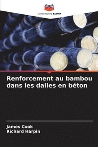 bokomslag Renforcement au bambou dans les dalles en béton