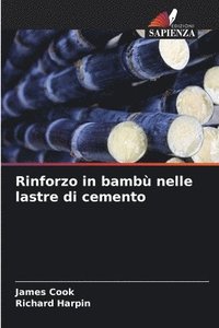 bokomslag Rinforzo in bambù nelle lastre di cemento