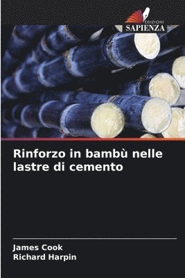 bokomslag Rinforzo in bambù nelle lastre di cemento
