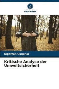 bokomslag Kritische Analyse der Umweltsicherheit