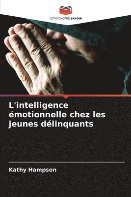 Kathy Hampson - L'intelligence émotionnelle chez les jeunes délinquants, Häftad