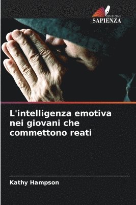 Kathy Hampson - L'intelligenza emotiva nei giovani che commettono reati, Häftad