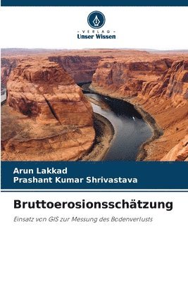 bokomslag Bruttoerosionsschätzung