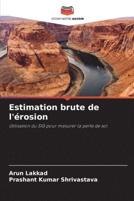bokomslag Estimation brute de l'érosion
