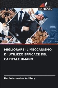bokomslag Migliorare Il Meccanismo Di Utilizzo Efficace del Capitale Umano