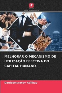 bokomslag Melhorar O Mecanismo de Utilização Efectiva Do Capital Humano