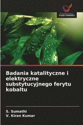 bokomslag Badania katalityczne i elektryczne substytucyjnego ferytu kobaltu
