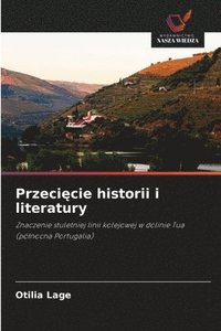 bokomslag Przeci?cie historii i literatury