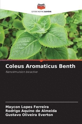 Coleus Aromaticus Benth
