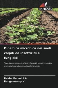 bokomslag Dinamica microbica nei suoli colpiti da insetticidi e fungicidi