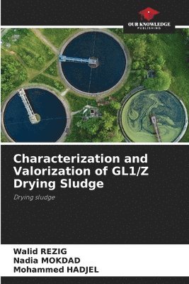 bokomslag Characterization and Valorization of GL1/Z Drying Sludge