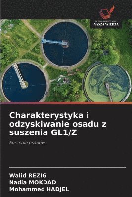 Charakterystyka i odzyskiwanie osadu z suszenia GL1/Z