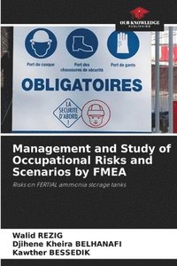 bokomslag Management and Study of Occupational Risks and Scenarios by FMEA