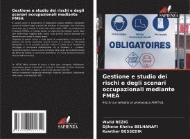 bokomslag Gestione e studio dei rischi e degli scenari occupazionali mediante FMEA