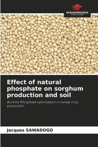 bokomslag Effect of natural phosphate on sorghum production and soil