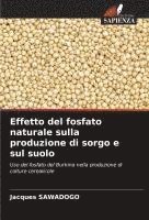 bokomslag Effetto del fosfato naturale sulla produzione di sorgo e sul suolo
