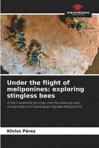 bokomslag Under the flight of meliponines
